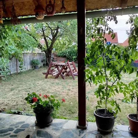 빌라 Bukuljska Kuca