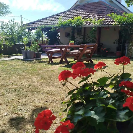 빌라 Bukuljska Kuca