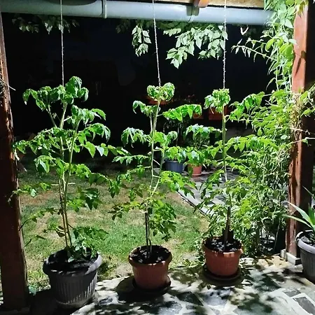 Bukuljska Kuca 빌라 *