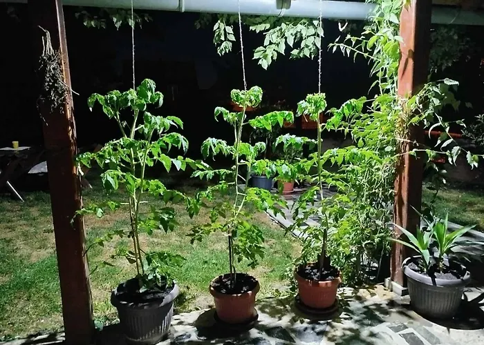 Bukuljska Kuca Вилла *